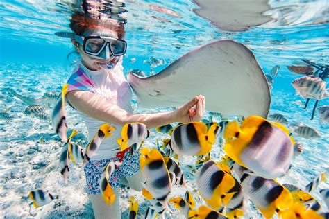 Snorkeling in Magic Island Lagoon: Witnessing the Beauty of the Underwater World